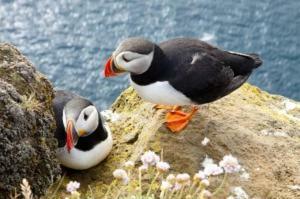 Tory Harbour View Hotel Tory Island 외부 사진